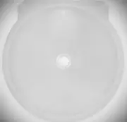 20 X CD / DVD Clamshell Case