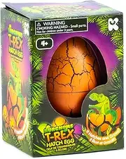 Nurchums Kid's Filler T-Rex Hatching Egg Toys Gift, Large