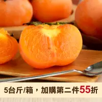 在飛比找台灣好農優惠-【柿子哥農場】紅柿 5台斤/箱