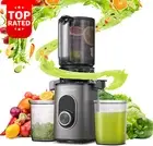 Cold Press Juicer with 110mm Chute Masticating Machine Easy Clean BPA-Free Gray