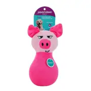 Paws & Claws Plush Squeaky Animal Head Pet Dog Toy Assorted