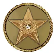 Silver Star Medallion for Box Cremation Urn/Flag Case - 2 Inch Diameter