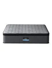[Giselle Bedding] King Bed Mattress 34cm in Black