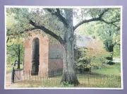 Jamestown Church Ruins - Virginia Postcard