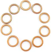 10 Pieces Exhaust Gasket Fit for Motorcycle 49cc 50cc 60cc 70cc 80cc 110cc 150cc 125cc Scooter Bike ATV Moped (Color : Big Type)