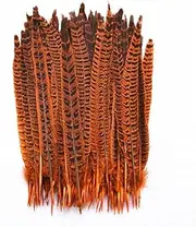 10 Pcs/Lot Female Pheasant Tail Feathers for Crafts Natural Pheasant Feathers Decoration Plumes Orange