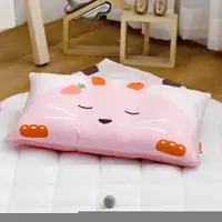 在飛比找誠品線上優惠-[韓國Hello HiZoo] 手工製可愛動物防蟎抗菌兒童枕