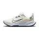 Nike W Juniper Trail 2 GTX 男 奶油白 防水 慢跑 訓練 運動 慢跑鞋 FB2067-002