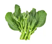 CHINESE KALE / Chinese BROCCOLI / Kai-Lan / Kailaan / Gai lan seeds