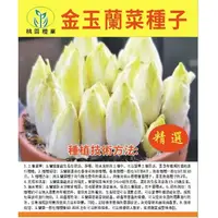 在飛比找蝦皮購物優惠-❥【原廠包裝】金玉蘭種子 菜種子 菊苣菜歐洲王子菜 營養軟化