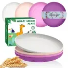 Dinner Plates Set Wheat Straw Plates Set Colorful Plates 9 Inch Plastic Plate...
