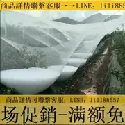 防鳥網~防雹網果園防鳥網葡萄網園藝防冰雹網全新白色聚乙烯廠家直銷