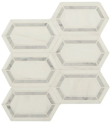 MSI SMOT-BIANDOL-PK8MM 12" x 12" Hexagon Geometric Floor and Wall - Pavilion