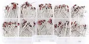 RIZGHWOY Excellent Quality 200pcs 10Values Zener Diode Assortment Kit 1N4728~1N4737, Low Leakage and Voltage Drop, Low Power Loss, for Electronic Professionals or Enthusiasts
