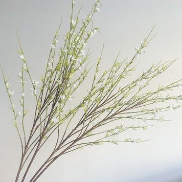 雪柳的價格推薦 飛比價格feebee