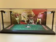 Dalvin Cook Custom 2-card PSA & BGS display case with LED lights - FSU