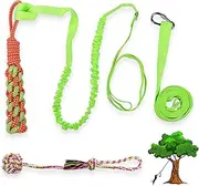 Galiyen Interactive Outdoor Dog Bungee Rope Toys for Small Medium Large Dogs with 2 Chew Toys, Hanging Bungee Tug Toy for Bite Training, Pull Exercise and Fun, Tether Tug of War Play Toy