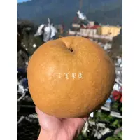 在飛比找蝦皮購物優惠-🍐純手工慢熬雪梨膏即將開賣🍐🏅️免運梨山爆汁蜜雪梨-B級🏅️