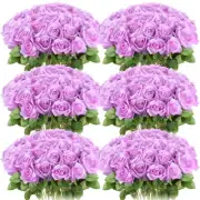 50 Pcs Artificial Rose Flower Realistic Silk Roses with Stem Bouquet of Flowe...