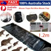 5//15/50Pack Mouse Traps Rat Mice Mouse Trap Board Snare Catcher Board Pad Board