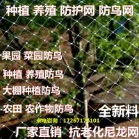 在飛比找樂天市場購物網優惠-網子防鳥爬藤網防鳥網阻攔魚線嘉寶果蝦池院子紗網園藝果樹白色