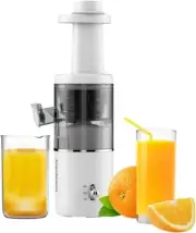 Joydeem Compact Masticating Juicer Machines, 400ml(14oz) Cold Press Slow Filter