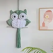 ANMUXI Owl Macrame Wall Hanging Handmade Tapestry Boho Nursery Wall Hanging Decor Bird Dream Catcher Home Wall Art Apartment Dorm Room Door Decoration 26" L x 13" W -Light Green