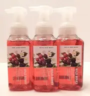 3 BATH & BODY WORKS WILD BERRY GARDEN GENTLE FOAMING HAND SOAP 8.75oz NEW!