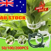 50/100/200 Bulk Tomato Cucumber Plant Garden Clip Support Twine Greenhouse NJ