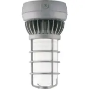 NEW RAB VXLED26DG LED Vaporproof Ceiling Mount Light, Frosted Glass Globe, 5000K