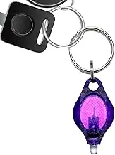 Key Chain Light,UV Light Keychain - Portable Detector Mini Popular Lighting Lamp for Child Schoolbag Backpack Home Detections