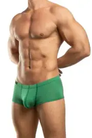 Men's Jack Adams Green Bikini Boxer (Trunk), Small (27"-29"), Modal and Elastane