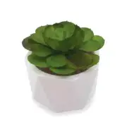 Flat Leaf Succulent Natural Green 3 inch Zinc Alloy Metal Bottle Opener