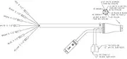 Grote (01-6661-H6) Trailer Wiring