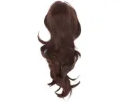 Brown Long Curly Wig Heatresistant Synthetic Female Wigs Middle Part Cosplay Wig (Lc133)