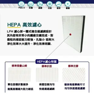 HEPA除臭濾網 適用國際牌除濕機F-Y20DHW F-Y26DHW F-Y20FH Y16FH Y20EH Y26EH