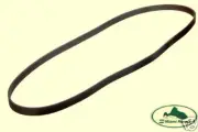 LAND ROVER SERPENTINE DRIVE BELT DISCOVERY I RANGE CLASSIC 3.9L ALLMAKES4x4 (for: Land Rover)