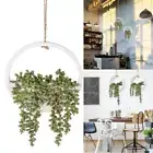 Wall Decor Hanging Plants Pot Plastic Green Plant Home Decoration