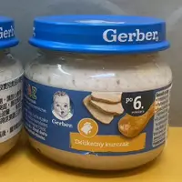 在飛比找蝦皮購物優惠-Baby Food 波蘭 Gerber 嘉寶雞肉泥 幼母犬貓