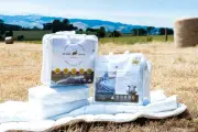 1100GSM Aussie Wool Comfort Wool Mattress Underlay Underblanket Topper