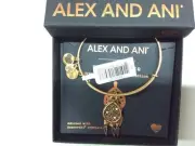 Alex and Ani Dreamcatcher Bangle Bracelet Rafaelian Gold NWTBC