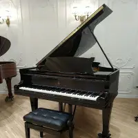 在飛比找蝦皮購物優惠-STEINWAY PRE-OWNED史坦威優質二手鋼琴 德廠