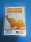 ScentSationals 6 Scented wax cubes Hello Sunshine scent Free Shipping