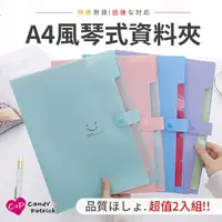 在飛比找PChome24h購物優惠-【Cap】A4風琴式分格收納資料夾/文件夾(2入/組)