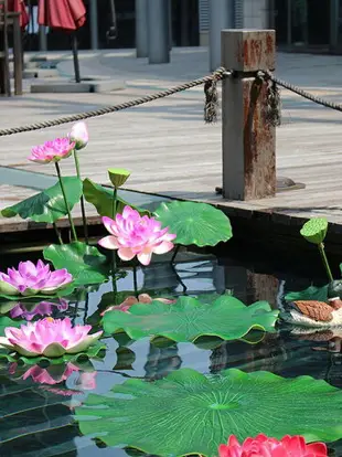 新品推薦 仿真荷花荷葉睡蓮花供佛塑料花中式餐廳茶館假花客廳落地花藝裝飾~解憂小屋