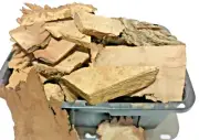 Wood Scrap From 150year old Tree Walnut Pieces 10 Pounds SHIPS FREE!