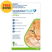 Revolution Plus For Large Cats 5 - 10kg (Green) 6 Pack + 1 Free