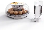 Automatic Digital Hatching Eggs with Fully Automatic Turner,Poultry Hatching Mac