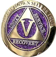 5 Year Elegant Glitter Purple Gold Silver Bi-Plated AA Medallion Chip, Metal, No Gemstone