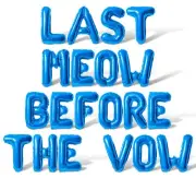 LAST MEOW BEFORE THE VOW Letter Balloon Banner - Bachelorette Party Decorations